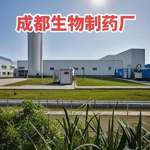 企业管理咨询 从搜索到行动，一位企业家的实战反思